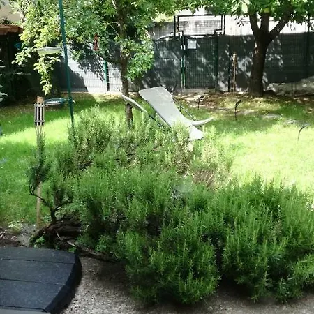 La Closerie Aux Violettes - Bed and Breakfast Τουλούζη